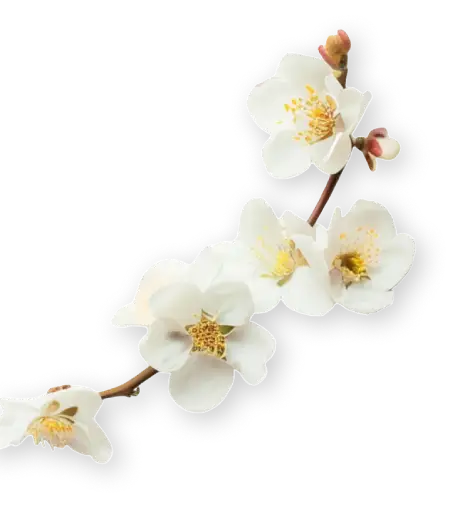 VANILLA FLOWER-stick-1