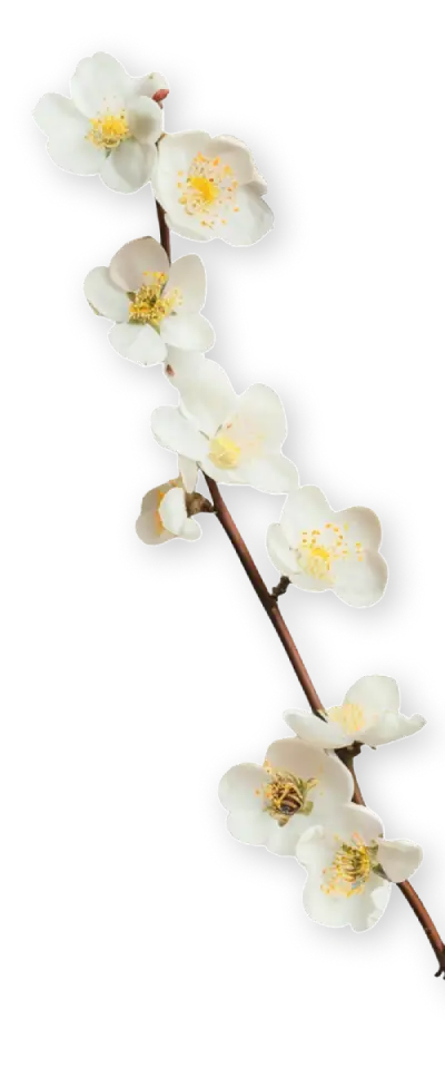 VANILLA FLOWER-stick